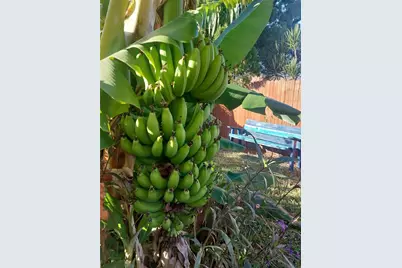 3303 Florida Boulevard, Bradenton, FL 34207 - Photo 30