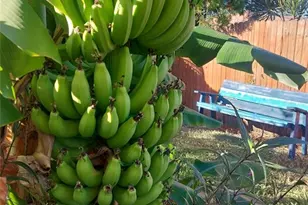 3303 Florida Blvd, Bradenton, FL 34207 - Photo 30