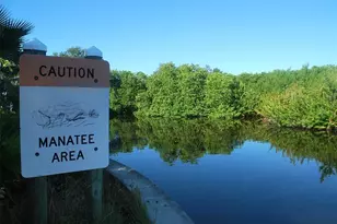 5577 Key W Pl, Bradenton, FL 34203 - Photo 50