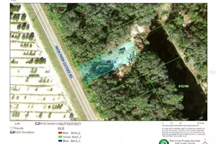 Avon Park Cutoff Rd, Frostproof, FL 33843 - Photo 1