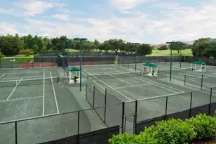 1936 Hillsong Ter, Palm Harbor, FL 34684 - Photo 6