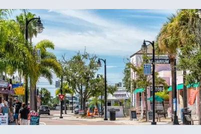 1936 Hillsong Terrace, Palm Harbor, FL 34684 - Photo 24