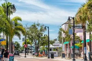 1936 Hillsong Ter, Palm Harbor, FL 34684 - Photo 24