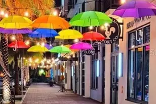 1928 Hillsong Ter, Palm Harbor, FL 34684 - Photo 22