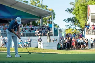 1928 Hillsong Ter, Palm Harbor, FL 34684 - Photo 10