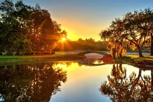 1610 Sandhill Ct, Palm Harbor, FL 34684 - Photo 4