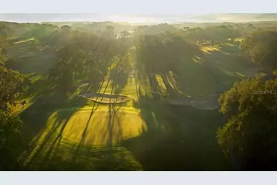 1610 Sandhill Court, Palm Harbor, FL 34684 - Photo 10