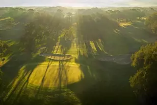 1610 Sandhill Ct, Palm Harbor, FL 34684 - Photo 10