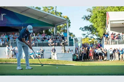 1606 Sandhill Court, Palm Harbor, FL 34684 - Photo 8