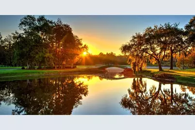 1606 Sandhill Court, Palm Harbor, FL 34684 - Photo 6