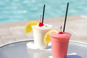 1577 Sandhill Ct, Palm Harbor, FL 34684 - Photo 18