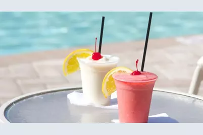 1581 Sandhill Court, Palm Harbor, FL 34684 - Photo 14