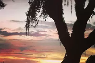 3806 Roxane Blvd, Sarasota, FL 34235 - Photo 34