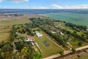 41155 Parks Rd, Myakka City, FL 34251 - Photo 46