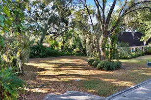 1113 N Riverhills Dr, Temple Terrace, FL 33617 - Photo 2