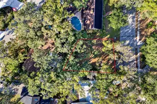 1113 N Riverhills Dr, Temple Terrace, FL 33617 - Photo 10