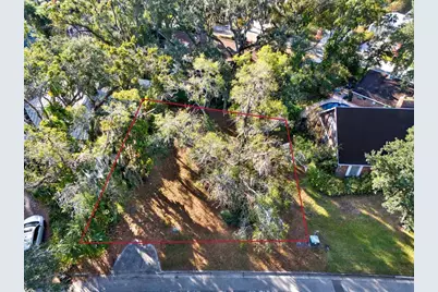 1113 N Riverhills Drive, Temple Terrace, FL 33617 - Photo 4