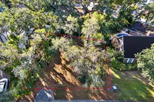 1113 N Riverhills Dr, Temple Terrace, FL 33617 - Photo 4