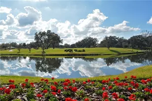 11443 Savannah Lakes Dr, Parrish, FL 34219 - Photo 70