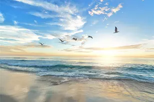 3331 Old Oak Dr, Sarasota, FL 34239 - Photo 56