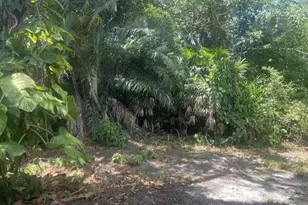 1856 Debbie St, Sarasota, FL 34231 - Photo 12
