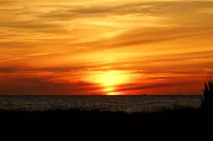 1750 Benjamin Franklin Dr, Sarasota, FL 34236 - Photo 64