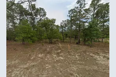 7749 N Santos Drive, Citrus Springs, FL 34434 - Photo 4