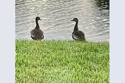 10114 Highland Park Place, Palmetto, FL 34221 - Photo 34