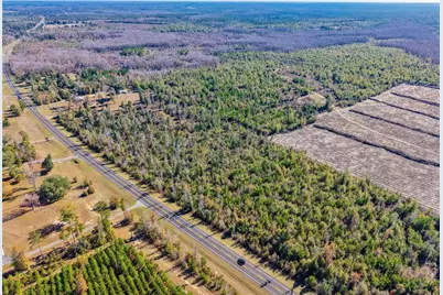 Hwy 90, Marianna, FL 32446 - Photo 8