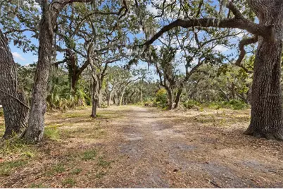 4848 Camphor Avenue, Sarasota, FL 34231 - Photo 40