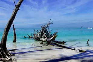 6750 Gulf of Mexico Dr, Longboat Key, FL 34228 - Photo 10