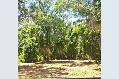4300 NE 175th Street Road, Citra, FL 32113 - Photo 10
