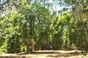 4300 NE 175th Street Rd, Citra, FL 32113 - Photo 10