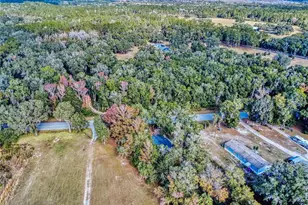 4300 NE 175th Street Rd, Citra, FL 32113 - Photo 40