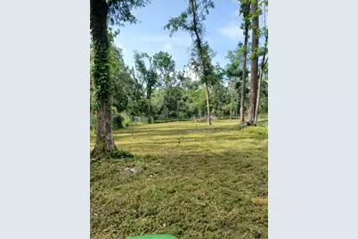 Sw Dragon Way, Jasper, FL 32052 - Photo 6