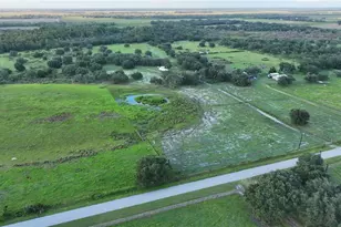 45855 Clay Gully Rd, Myakka City, FL 34251 - Photo 1