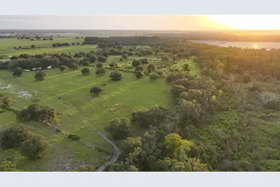 45855 Clay Gully Road, Myakka City, FL 34251 - Photo 8