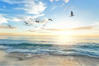 1087 Lake House Circle #C104, Sarasota, FL 34242 - Photo 40