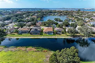 217 39th St NE, Bradenton, FL 34208 - Photo 60