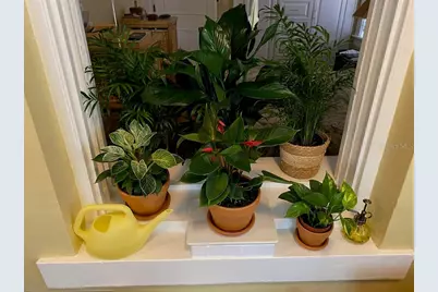 1221 N Palm Avenue #204, Sarasota, FL 34236 - Photo 14