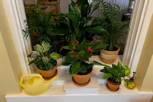 1221 N Palm Ave, Sarasota, FL 34236 - Photo 14