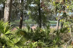 13721 Palazzo Ter, Bradenton, FL 34211 - Photo 44