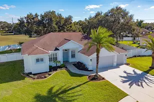 2808 Duncan Tree Cir, Valrico, FL 33594 - Photo 52