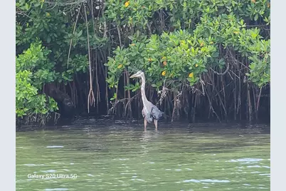 360 Gulf Of Mexico Drive #312, Longboat Key, FL 34228 - Photo 58