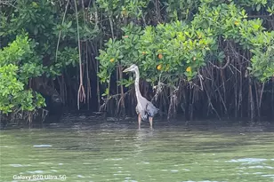 360 Gulf of Mexico Dr, Longboat Key, FL 34228 - Photo 58