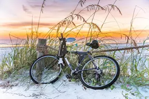 4021 Crockers Lake Blvd, Sarasota, FL 34238 - Photo 70