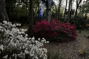 8725 Quail Run Dr, Wesley Chapel, FL 33544 - Photo 16