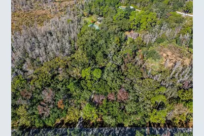 8725 Quail Run Drive, Wesley Chapel, FL 33544 - Photo 2