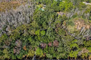 8725 Quail Run Dr, Wesley Chapel, FL 33544 - Photo 2