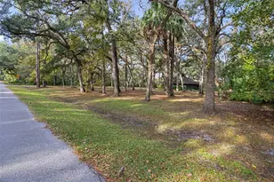 8725 Quail Run Dr, Wesley Chapel, FL 33544 - Photo 8